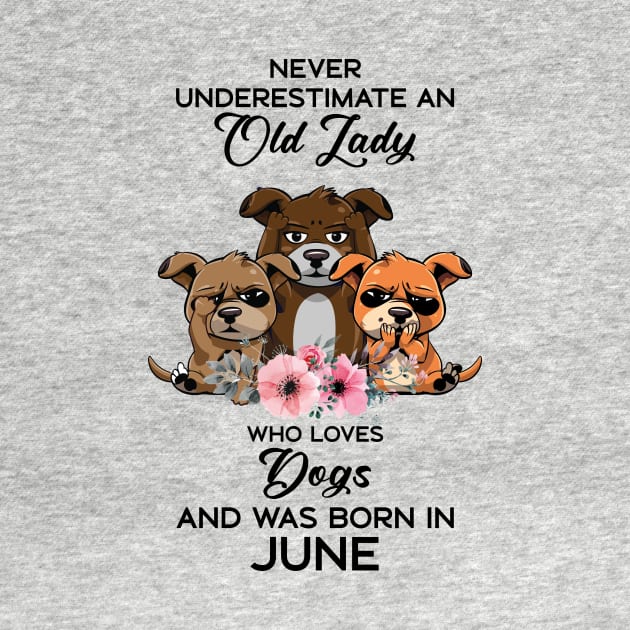 Never Underestimate An Old Woman Who Loves Dogs And Was Born In June by Happy Solstice